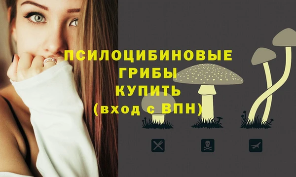 МДПВ Приозерск