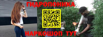 мяу мяу мука Беслан