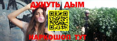 мяу мяу мука Беслан