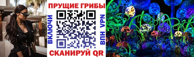 блэк спрут онион  Советский  Псилоцибиновые грибы MAGIC MUSHROOMS 